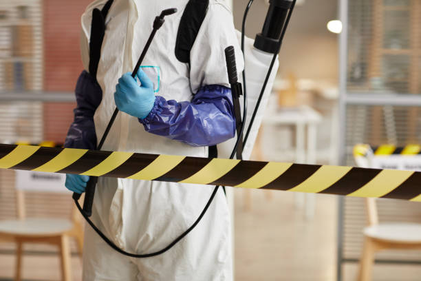 Professional Sewage Cleanup technician working in Leesburg, NJ